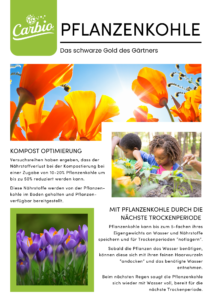 kopie von kopie von kopie von pferde newsletter 1.2024