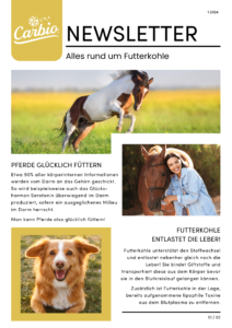 pferde newsletter 1.2024